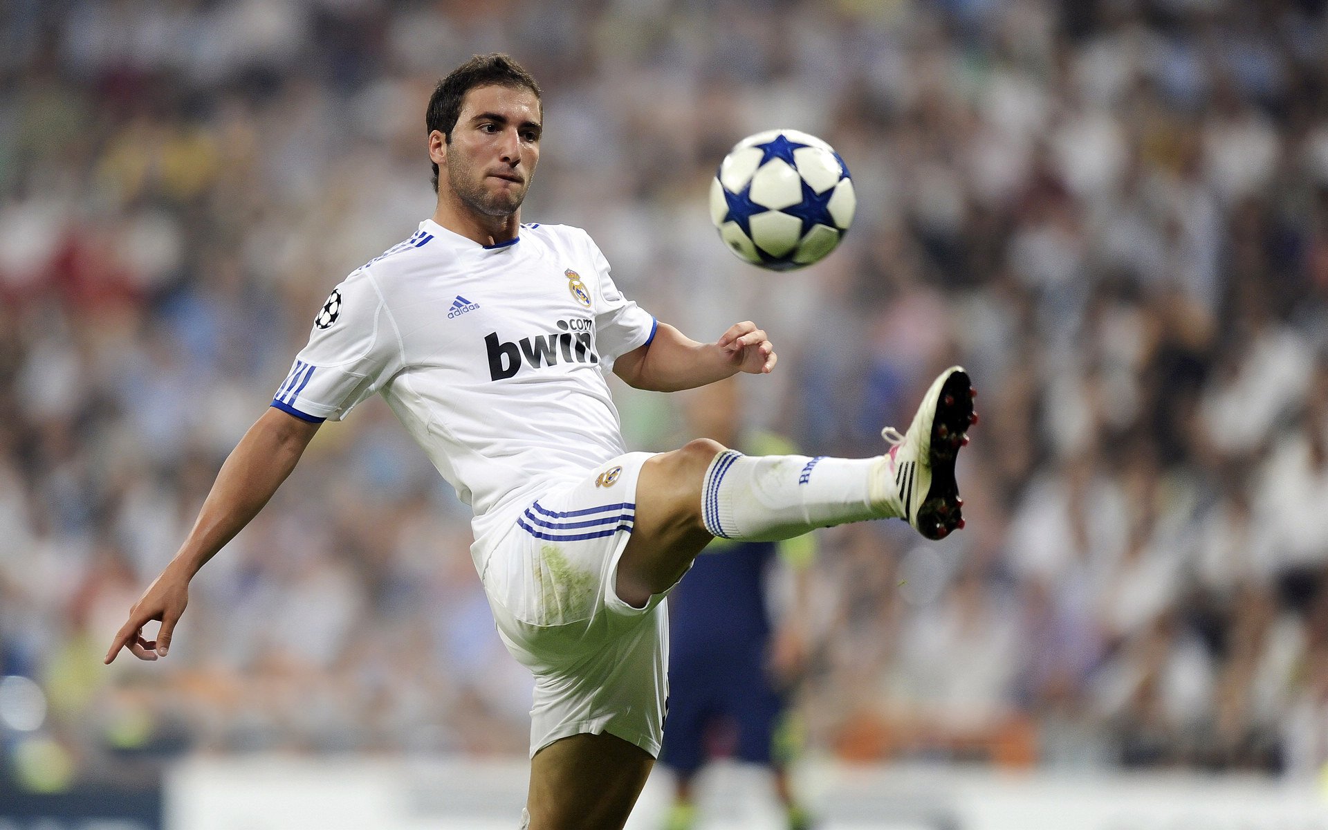 自由泳中距离朝鲜节奏掌控好，自由泳到边